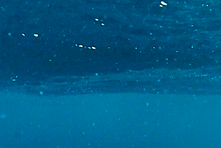 Why I know you can swim