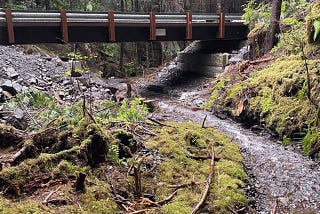 a bridge over a wooded creek