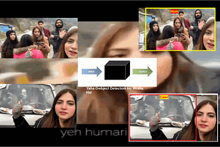 Object Detection Model on Custom Dataset Using YOLO v3 Tiny Pre-Trained Weights  — The Training