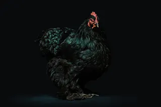 AI Can’t Fix My Broken Raccoon Trap