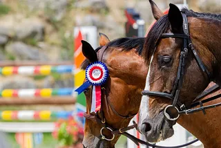 I Tried to Describe the MWC Grand Prize Winner In Advance