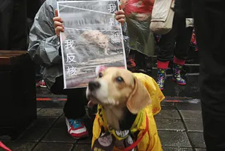 2014年一小段瘋狂企劃旅程的紀錄
