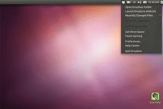 Ubuntu-Cloud-Dropbox-Evernote-Screenshot