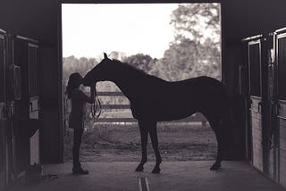 A woman and horse sillhouetted