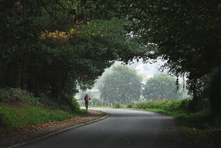 A photo taken from afar of a runner going down a path with lush trees and green.
