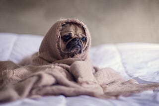 Advice for Coping With Seasonal Depression, From 9 People Who Have It