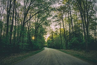 A paved road winds through a woods. The sun is rising behind the trees.
