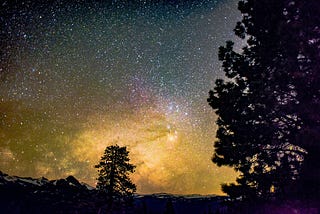 moonlit stars