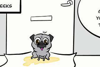 Mishti puppy potty training