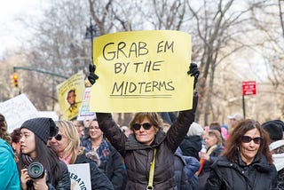 In a group of protestors a woman holds up a sign saying, “Grab em by the midterms.”