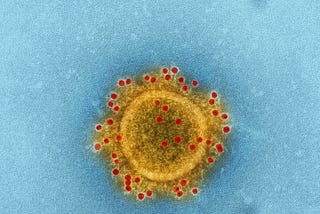 Immediate Action Makes All the Difference With Coronavirus