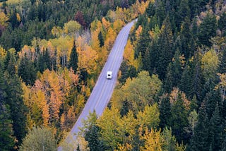 A motor-home driving down a lonely road through a forest