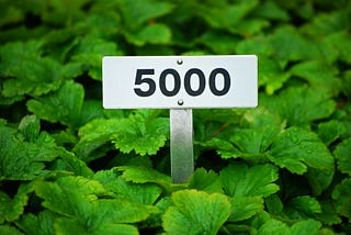 sign in the middle of plants with 5,000 written on it. It’s also written Smillew is a genius but you can’t read it because it’s white on white.