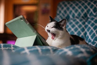 A cat lying down in front of a tablet screen and yawning.