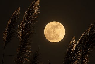 This Moon