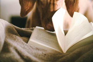 Who Would We Be Without Books?