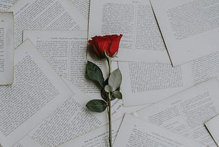 a red rose against pages of a book