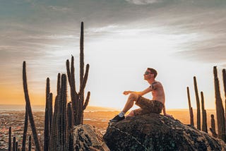 A hiker perches atop a rocky climb at sunrise. He’s alone, but in the company of tall, thin spires of cacti rising up around him. A city sprawls in the distance beneath the soft, golden hued sky.