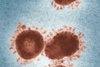 Separating the Facts From the Misinformation About COVID-19