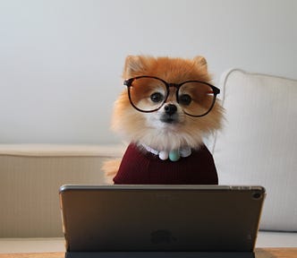 dog wearing glasses in front of an iPad