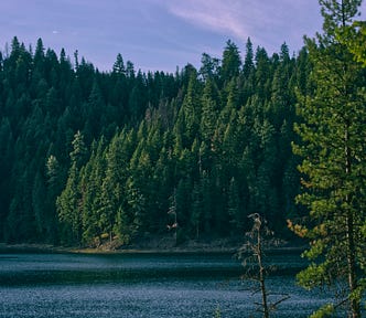 A lake and a forest in which witches might live