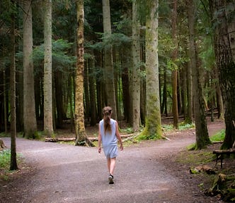 A person walking away from the viewer toward a fork in the road surrounded by trees. “Two roads diverged in a wood…”