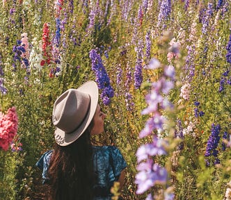 a young girl sitting in a field among tall grass and colorful flowers