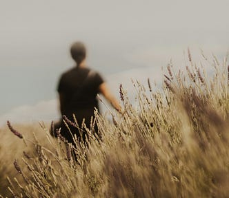 wheat field with an out-of-focus man in the background and a gray sky