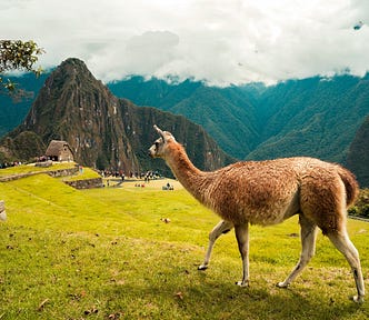 META LLaMA 2.0