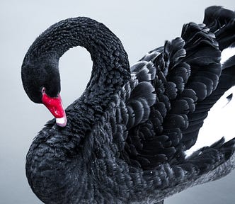 Black Swan