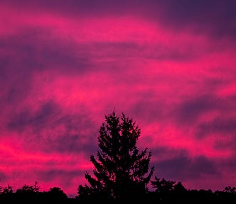 photograph of a magenta sunset