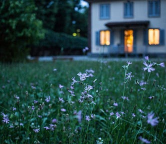 Twilight view of a wildflower garden, with a house in the background with lights in the downstairs windows