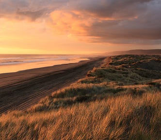 sunset by the seaside. the light is tangerine and grey. on the left is the ocean, gentle lapping waves. a narrow stretch of dark beach follows to the right, and the, a stretch of beachgrass, light orange and black in the shadows.