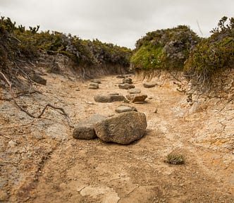 Old dry stones in a cracked and drought-stricken riverbed