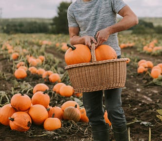 Man holding a basket of pumpkins.