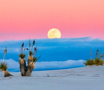 My Post-Breakup Life Reset: Healing, Hustling, and Honoring My Heart