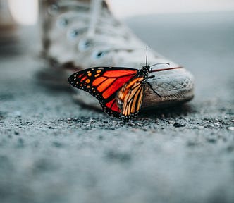 A close-up to the grey gravel ground of a monarch butterfly clinging to the front edge of a white dirtied Converse-style sneaker.