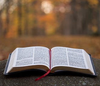 Close-up photo of a book, laid open on an unknown surface. The content can’t be read, but the headings “Psalm 49” and “Psalm 50” are visible. There is a red ribbon laid down the middle of the book, in between the two pages. The background is blurred, but appears to be an outdoors setting, possibly a forest.