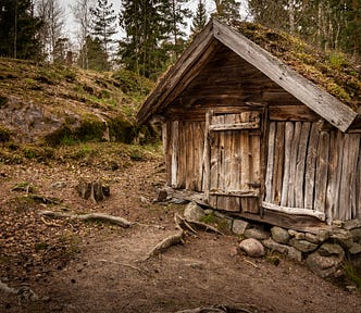 A shack in a sloping clearing in the forest