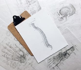 Anatomical drawings arranged artfully around a clipboard