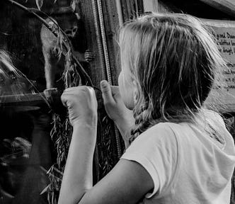 A child looks in at a monkey in a zoo