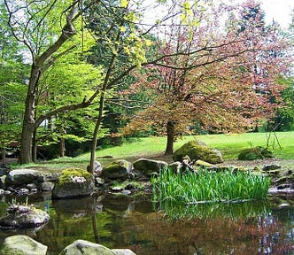 Nature scene of pond, lawn, and trees