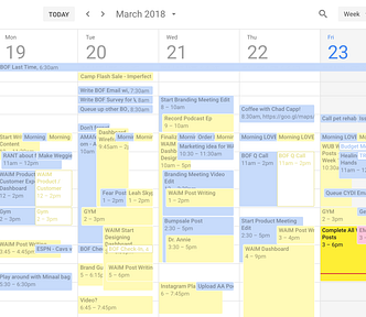 a google agenda full of meetings