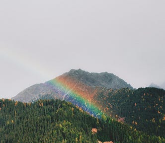 Rainbow over forest and mountain