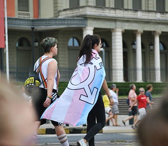 A human wears a trans flag and dual gender symbol on a cape.