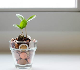 plant growing from a money pot