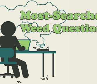 Sitting at a laptop smoking weed answering weed questions