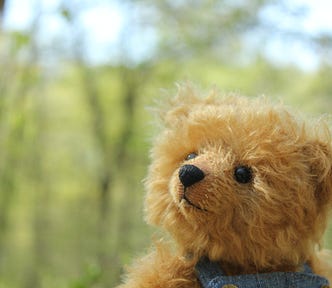 Teddy bear