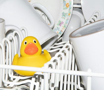 A rubber duck inside a dishwasher