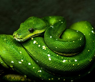 python course